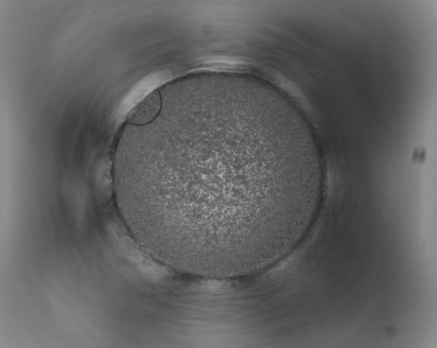 X0000111471362200907131509