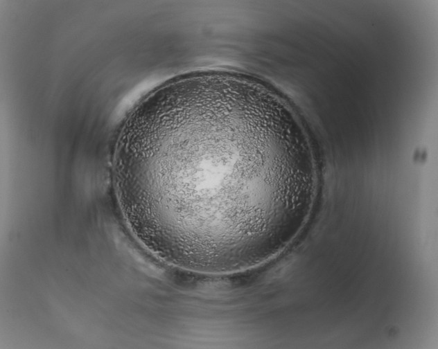 X0000111471363200907131509