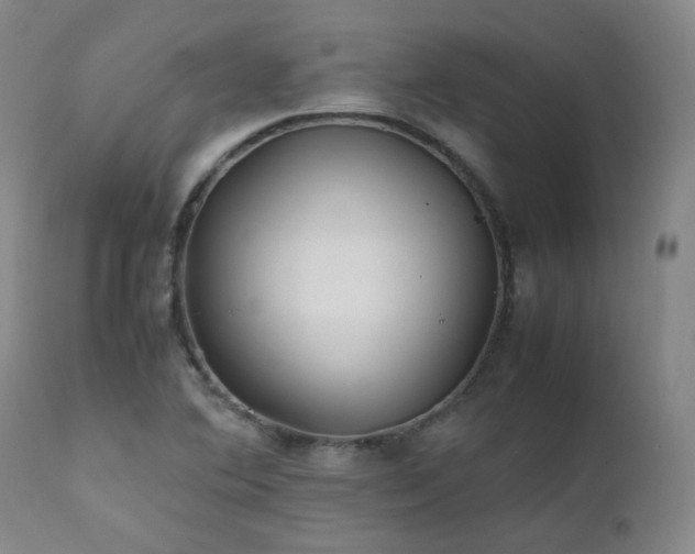 X0000111471364200907131509