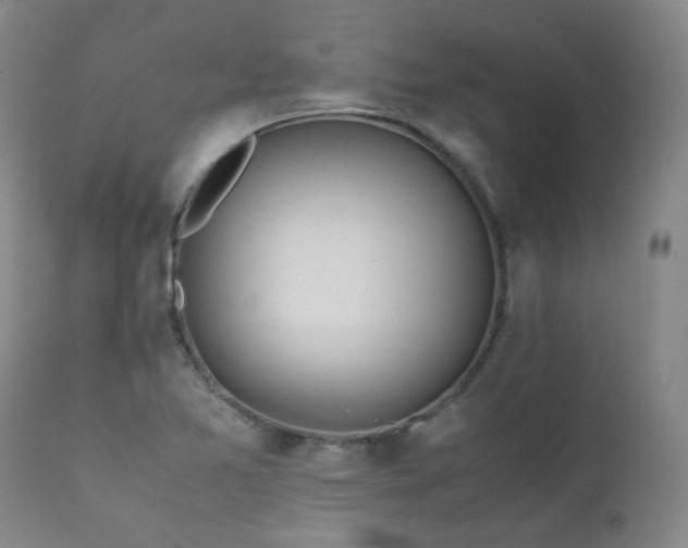 X0000111471365200907131509