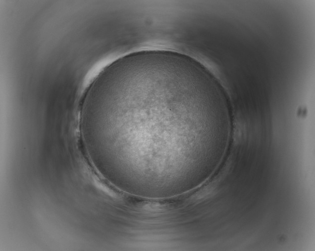 X0000111471366200907131509