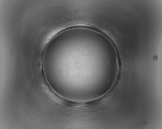 X0000111471367200907131509