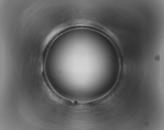 X0000111471368200907131509