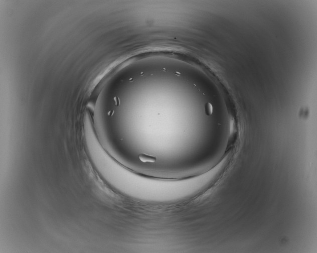 X0000111471369200907131509