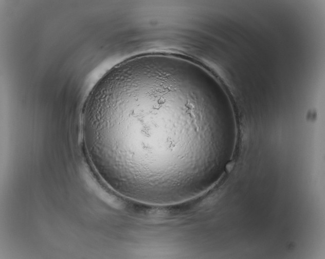 X0000111471371200907131509