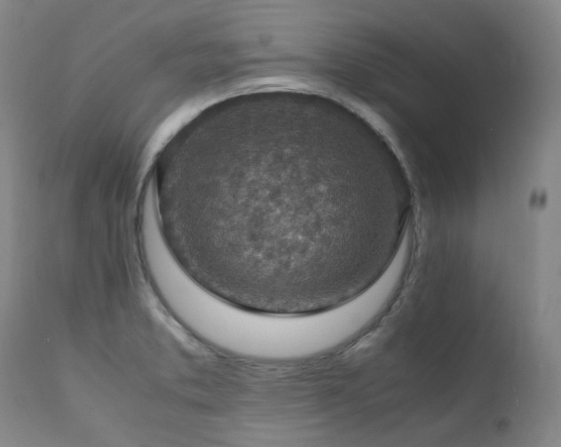 X0000111471373200907131508