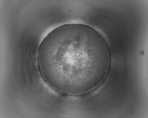 X0000111471374200907131508
