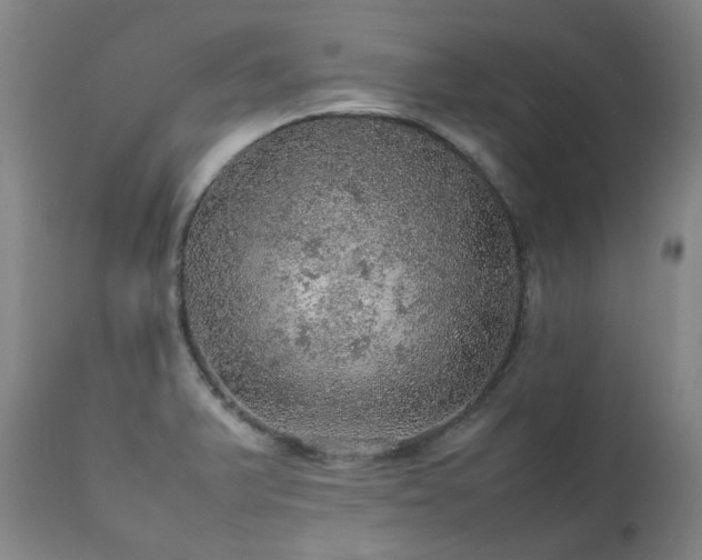 X0000111471375200907131508