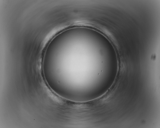 X0000111471376200907131508