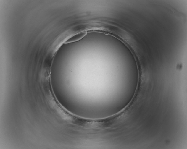 X0000111471377200907131508