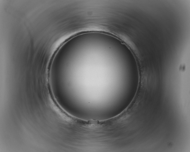 X0000111471380200907131508