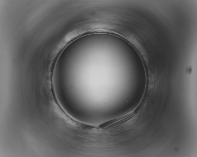 X0000111471384200907131508