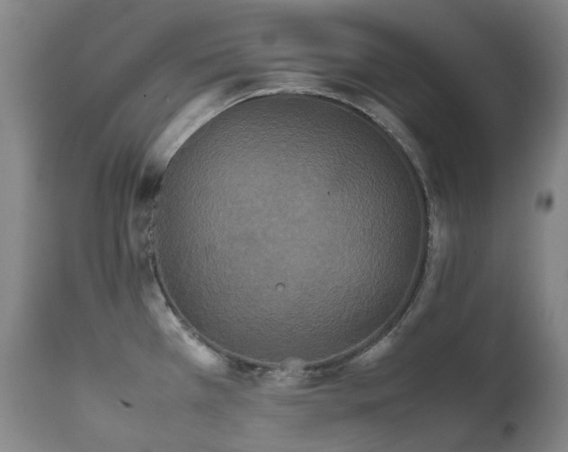 X0000111471385200907131508