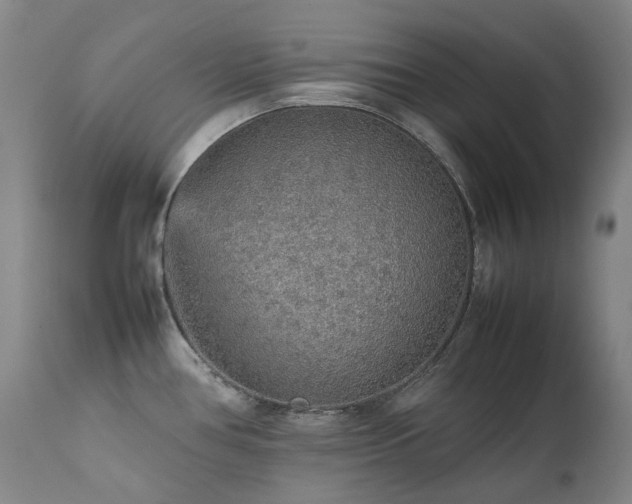 X0000111471386200907131508