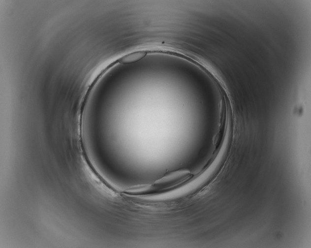 X0000111471388200907131508