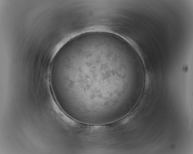 X0000111471390200907131508