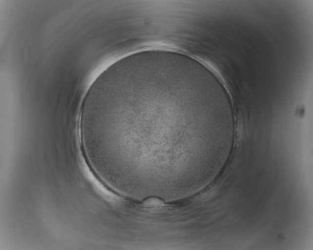 X0000111471391200907131508
