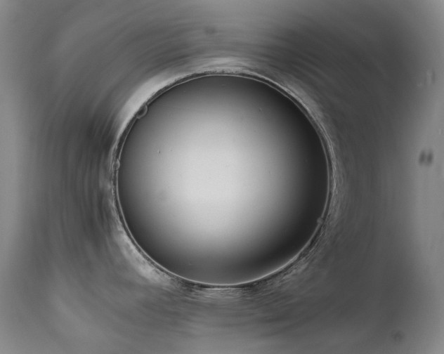 X0000111471392200907131508