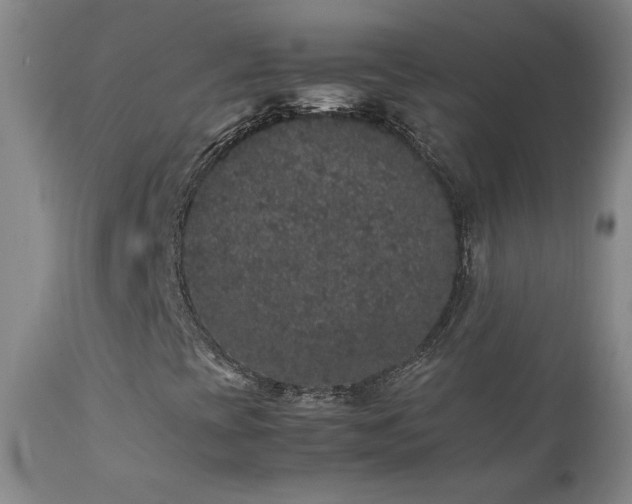 X0000111471393200907131507