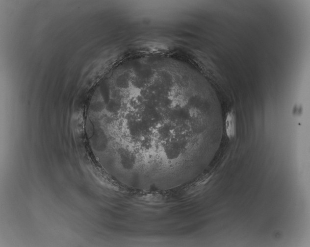 X0000111471395200907131507