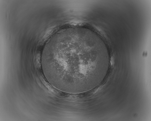 X0000111471396200907131507