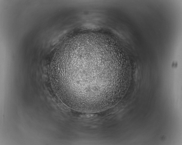 X0000111471397200907131507