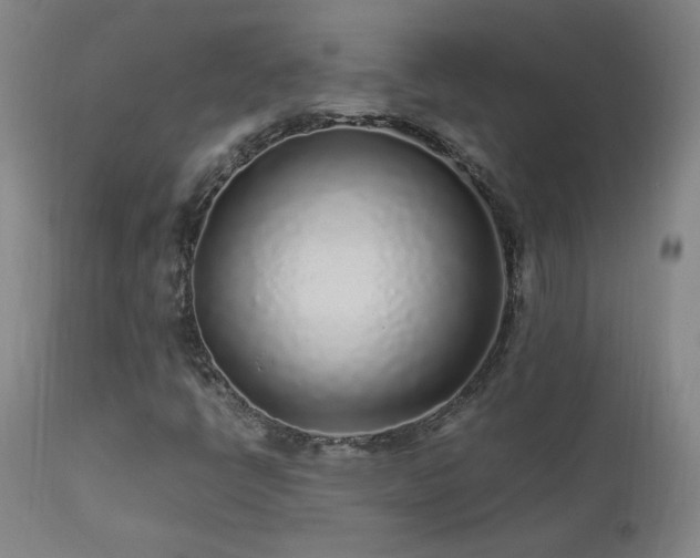 X0000111471398200907131507