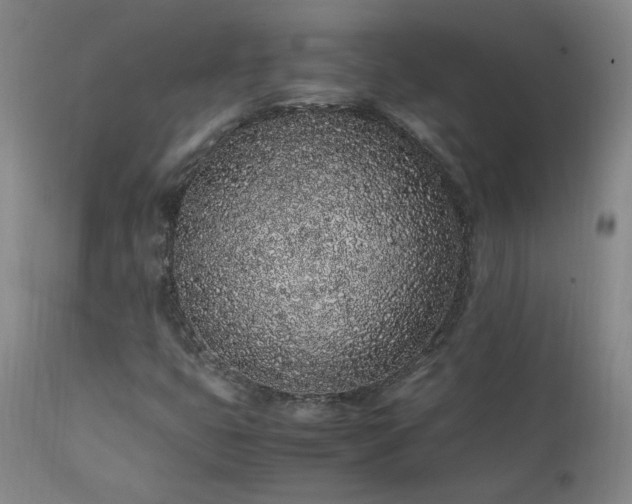X0000111471399200907131507