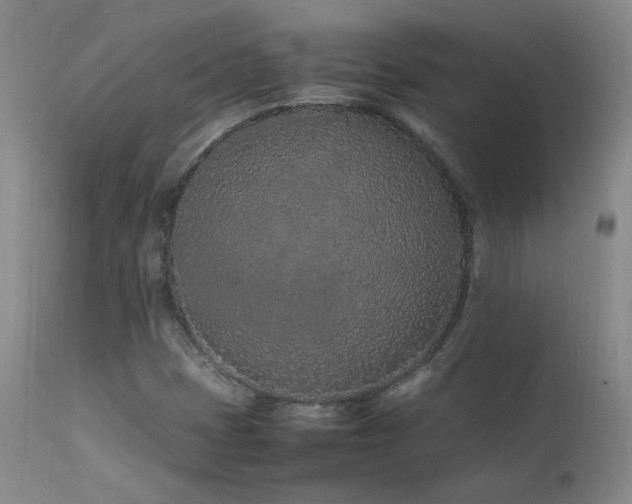 X0000111471401200907131508