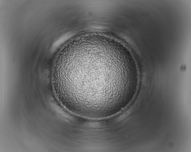 X0000111471402200907131508