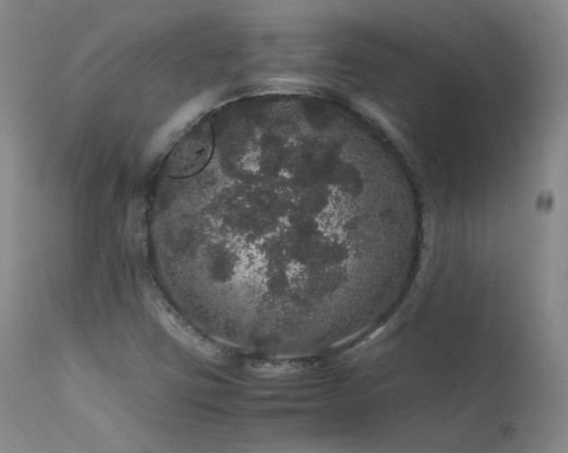 X0000111471403200907131508