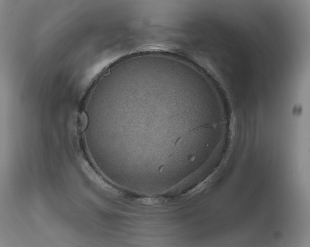 X0000111471404200907131508