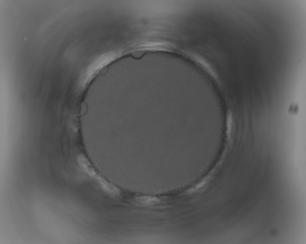 X0000111471405200907131508