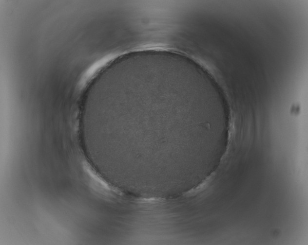X0000111471406200907131508