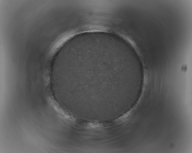 X0000111471407200907131508