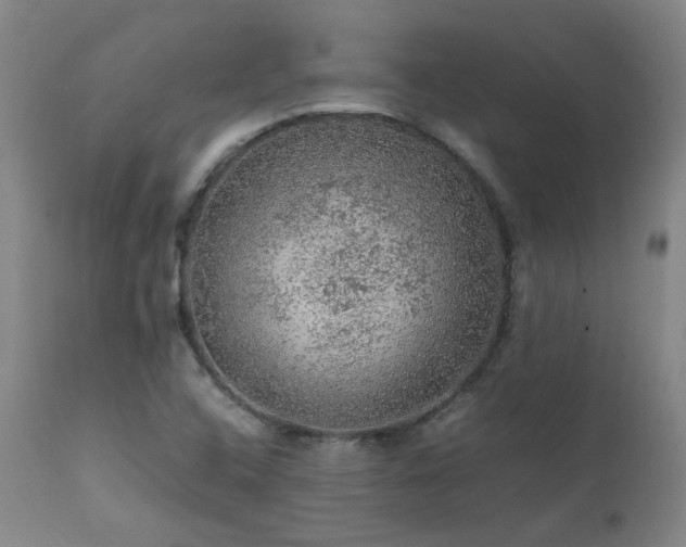 X0000111471408200907131508