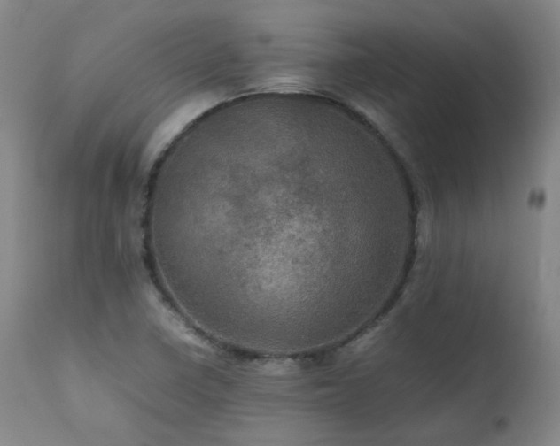 X0000111471410200907131508