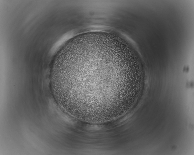 X0000111471411200907131508
