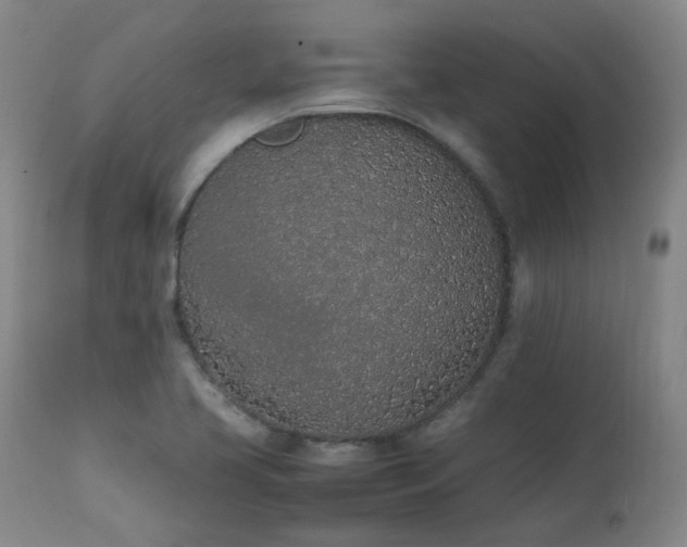 X0000111471413200907131508