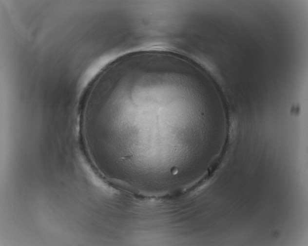 X0000111471414200907131508