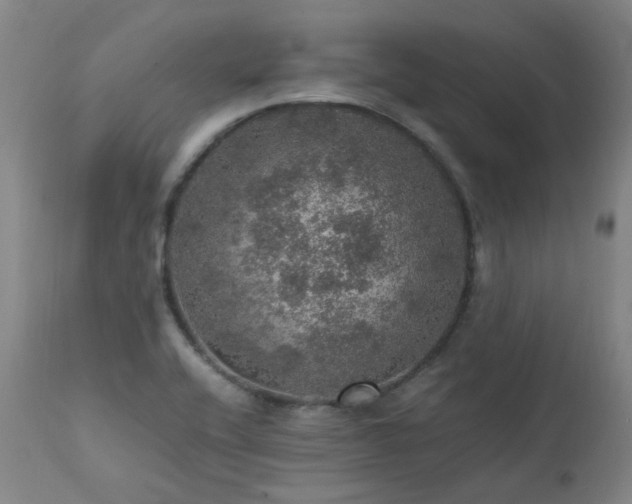 X0000111471416200907131508