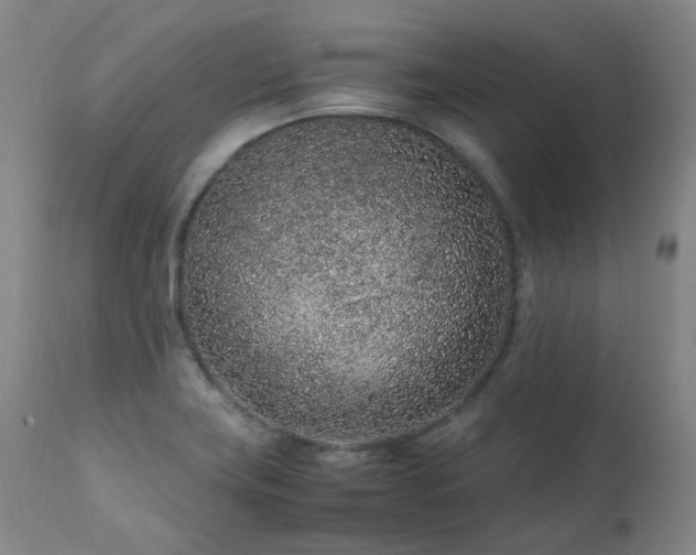 X0000111471419200907131508