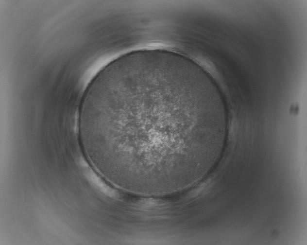 X0000111471420200907131508