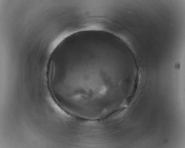 X0000111471422200907131508