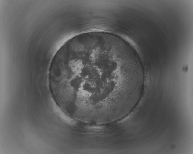 X0000111471423200907131508