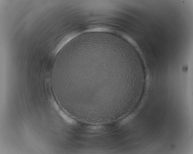 X0000111471425200907131508