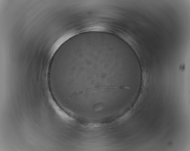 X0000111471426200907131508