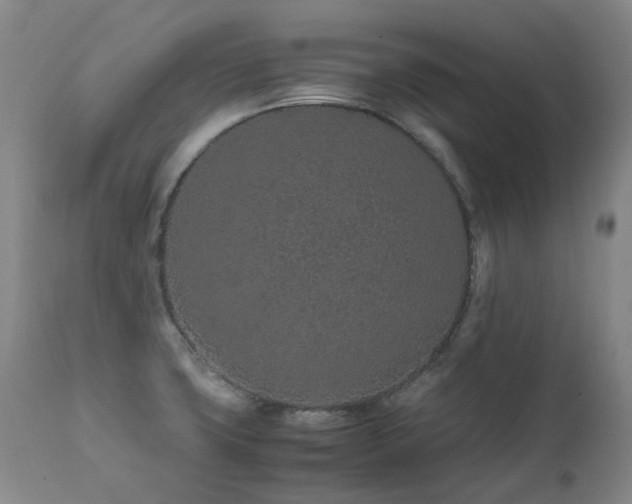 X0000111471427200907131508