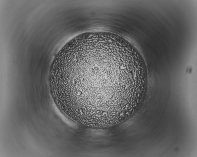 X0000111471429200907131508