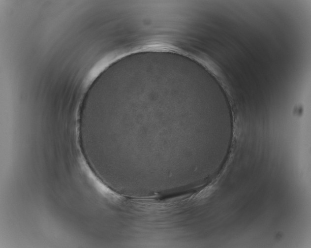 X0000111471430200907131508